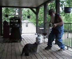 13474227_10206358259891161_804676737_n.gif