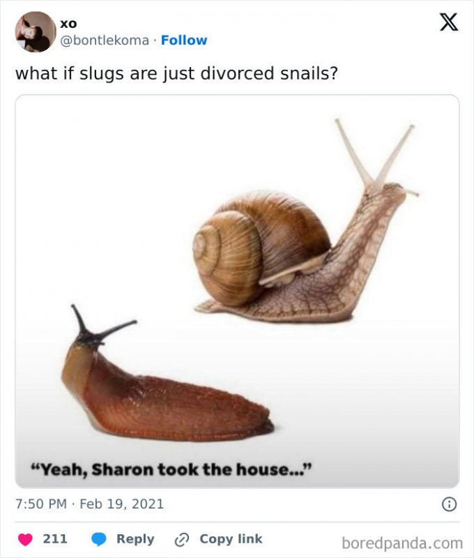 1362851975633768449-png__700.jpg