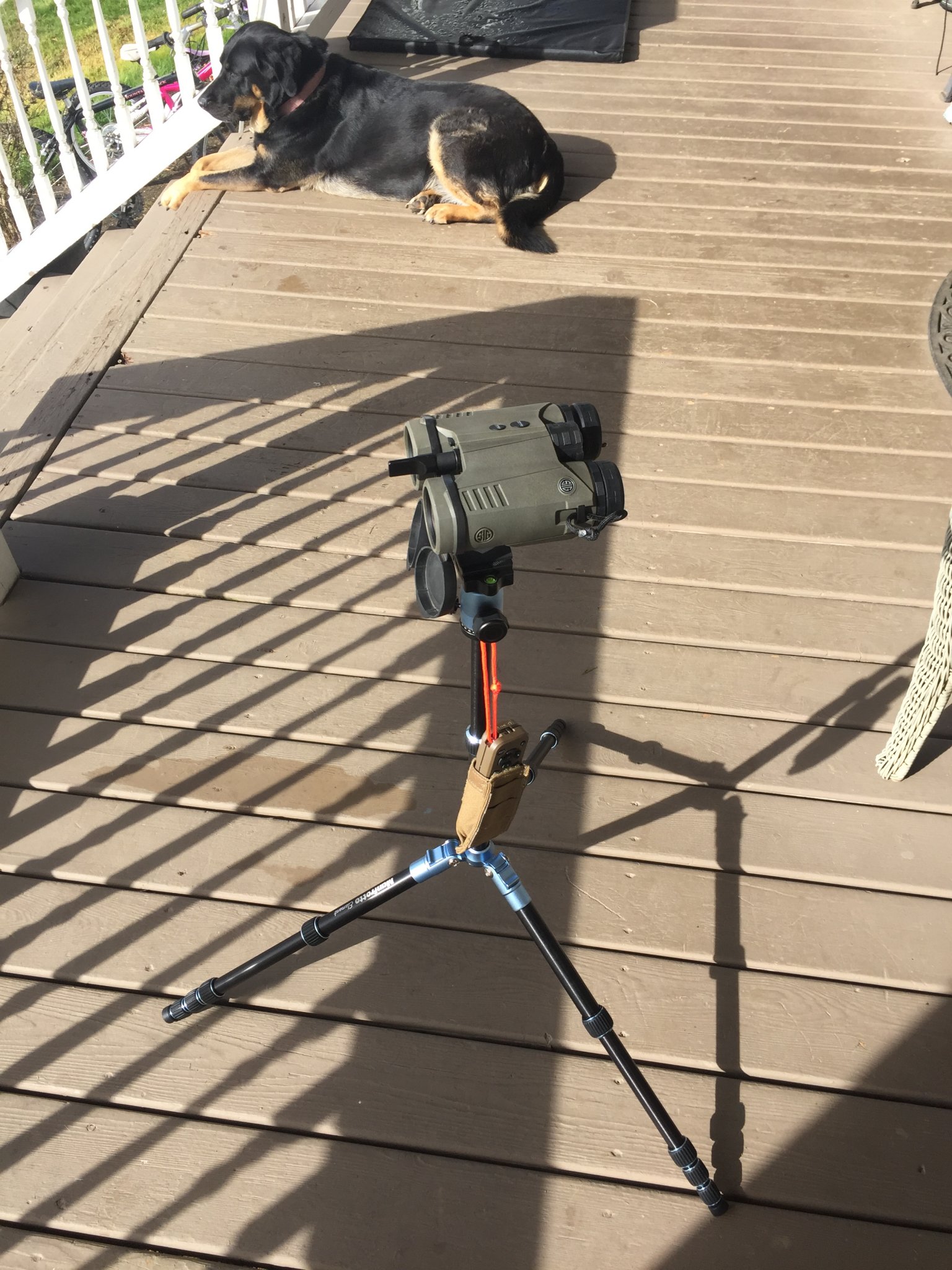 14088563-A082-4775-AC7B-3075B8979D8D.jpeg