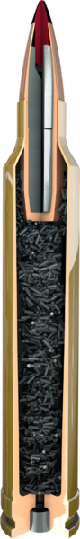 1410991505-Precision-Hunter-ammunition-illustration---cutaway.0838bdf4.png