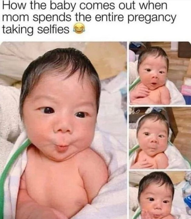 14501397.jpg