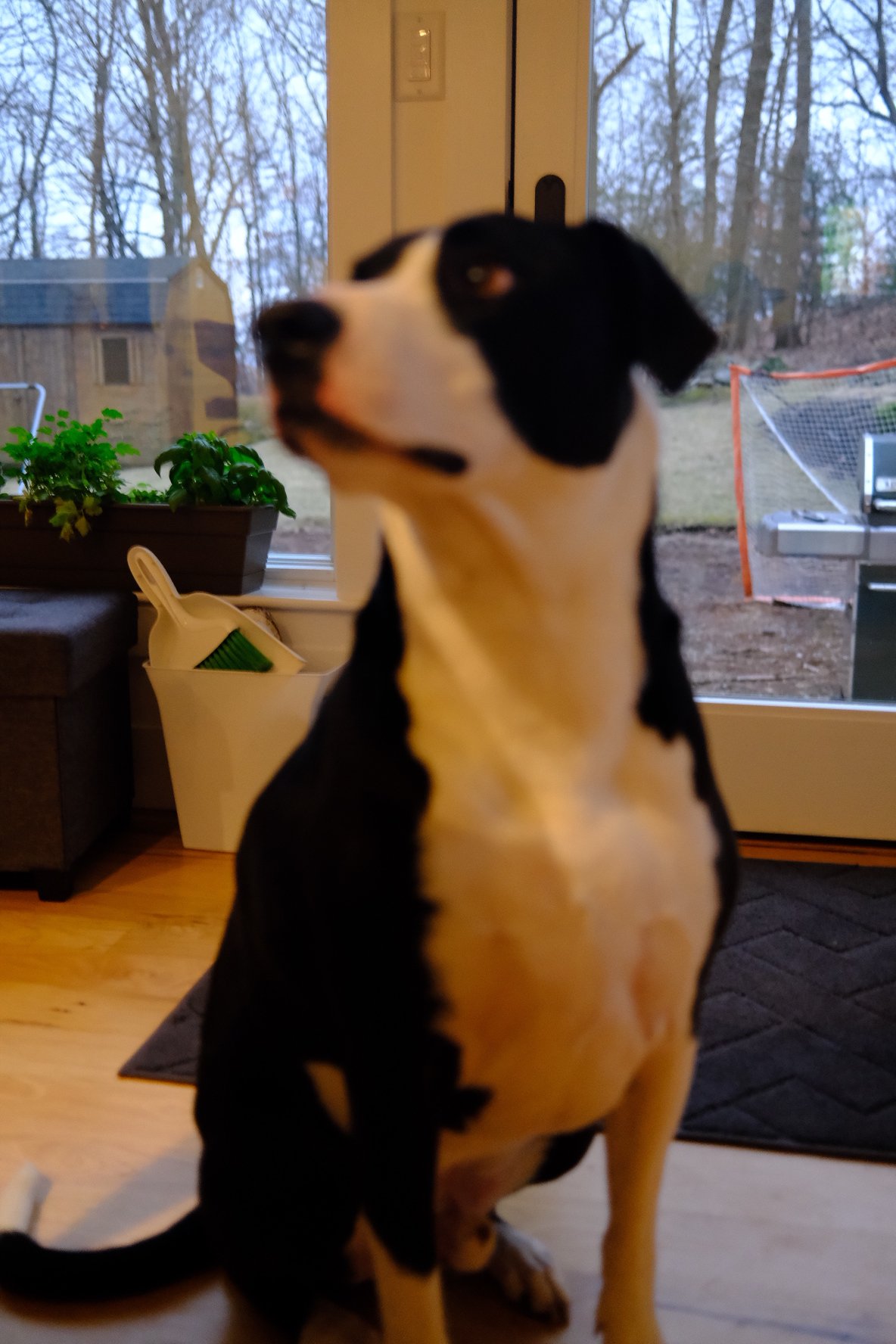 1462599E-D1C9-47F3-9654-9FD52E7E97E8.jpeg