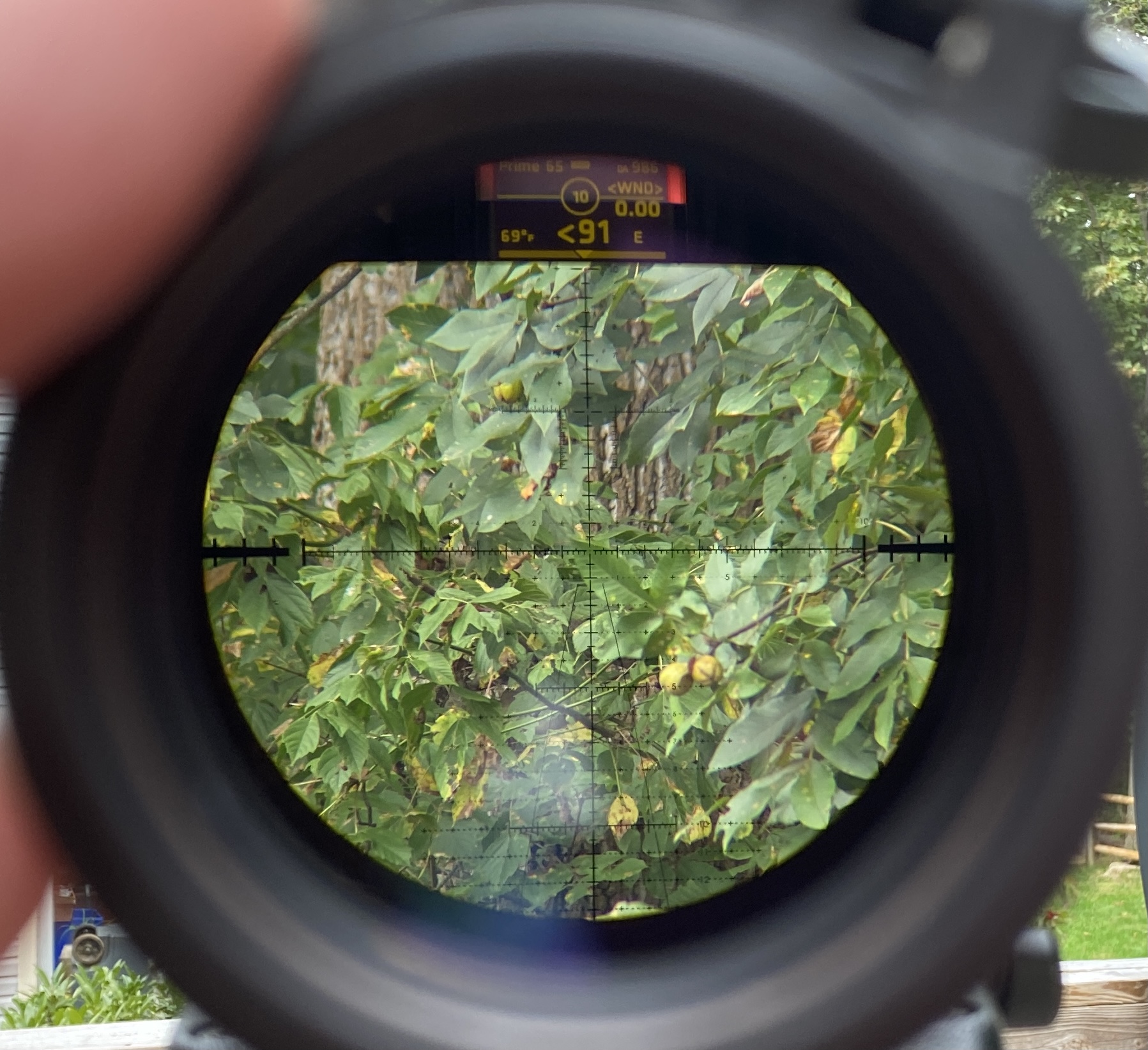 146B30BC-E537-4499-ABF5-216F7ECCCF4E.jpeg