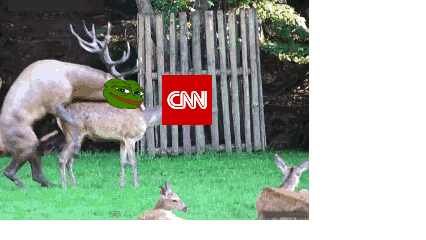 1499333788529.gif
