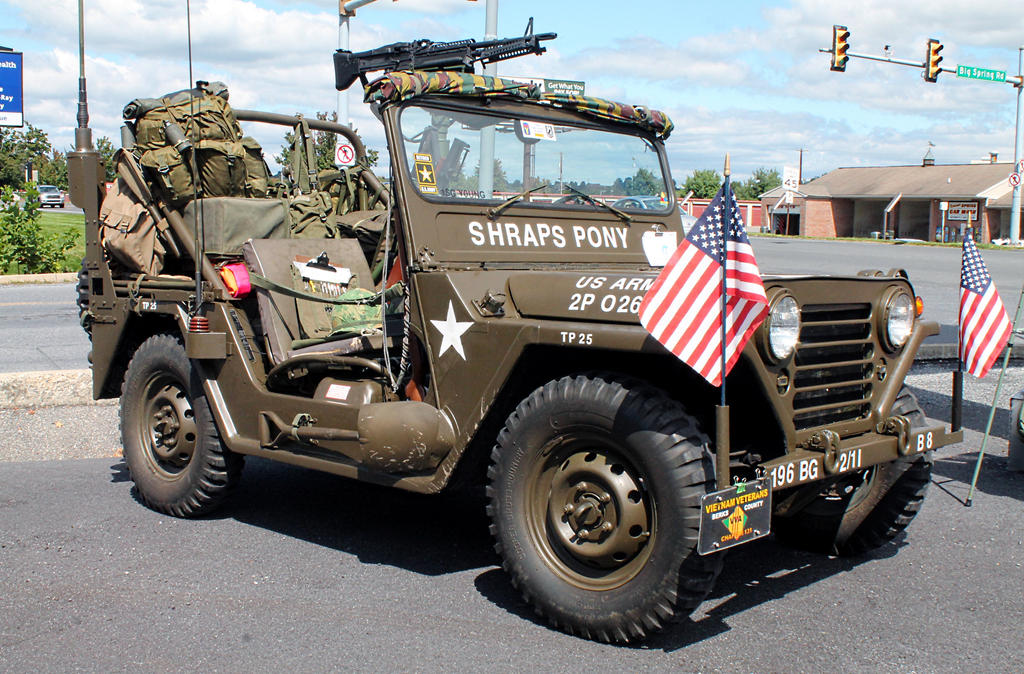 14v.jpg