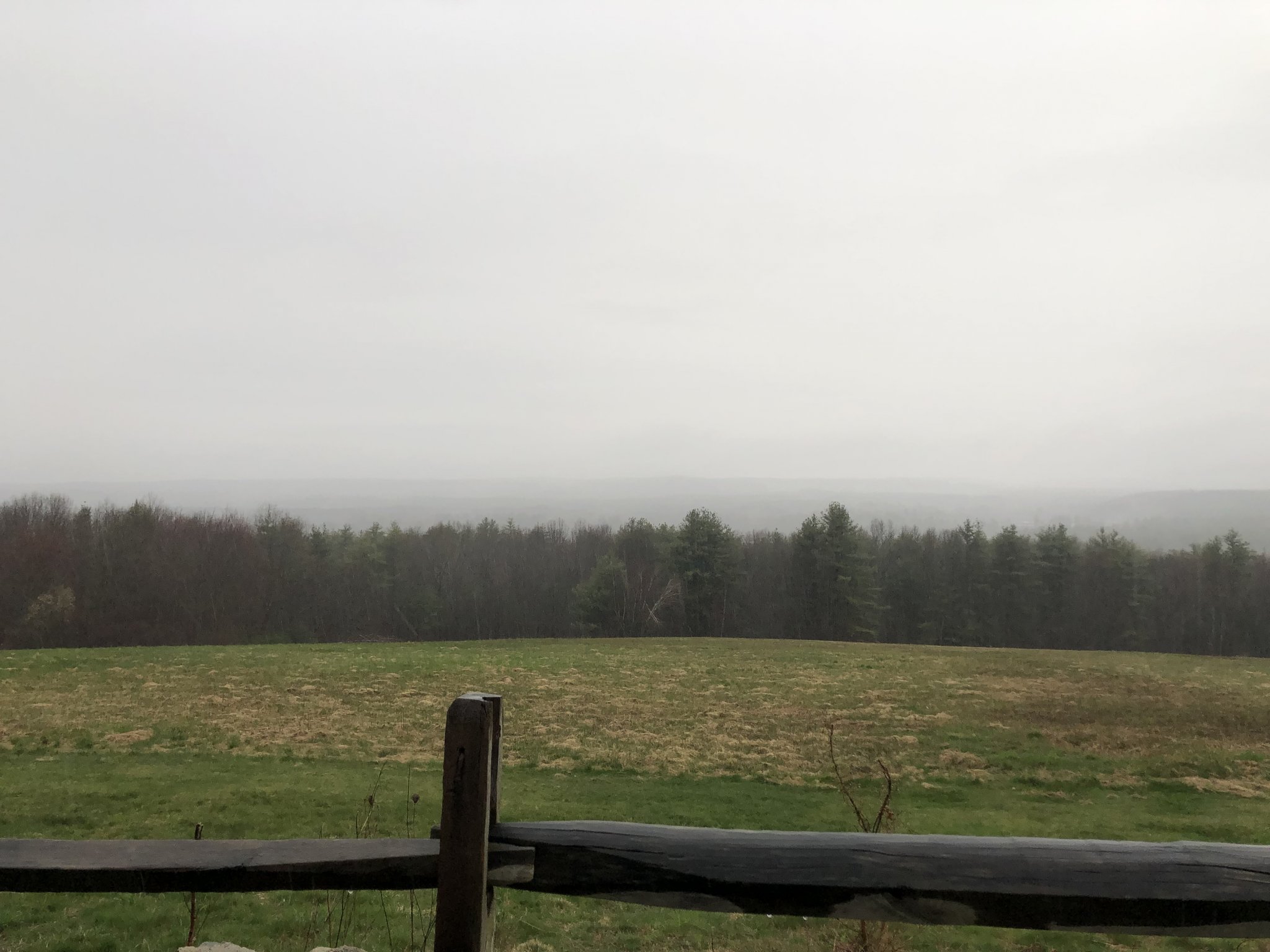 15131D67-220F-4CE3-B797-BB5C00A8B819.jpeg
