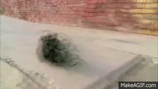 1517357719184.png