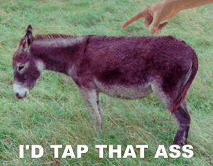 1517513868495.png