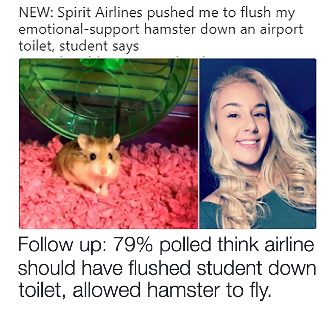 1518315521897.png
