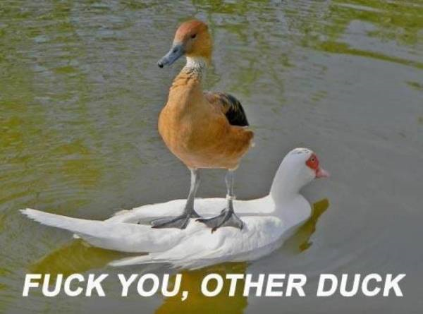 1518630336031.png