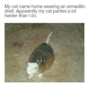 1519712327847.png
