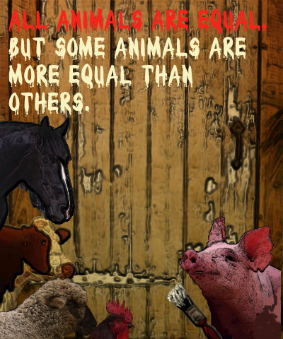 1519836337215.png