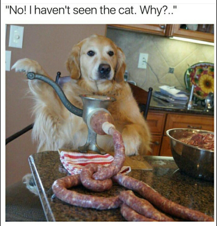 1522819202468.png