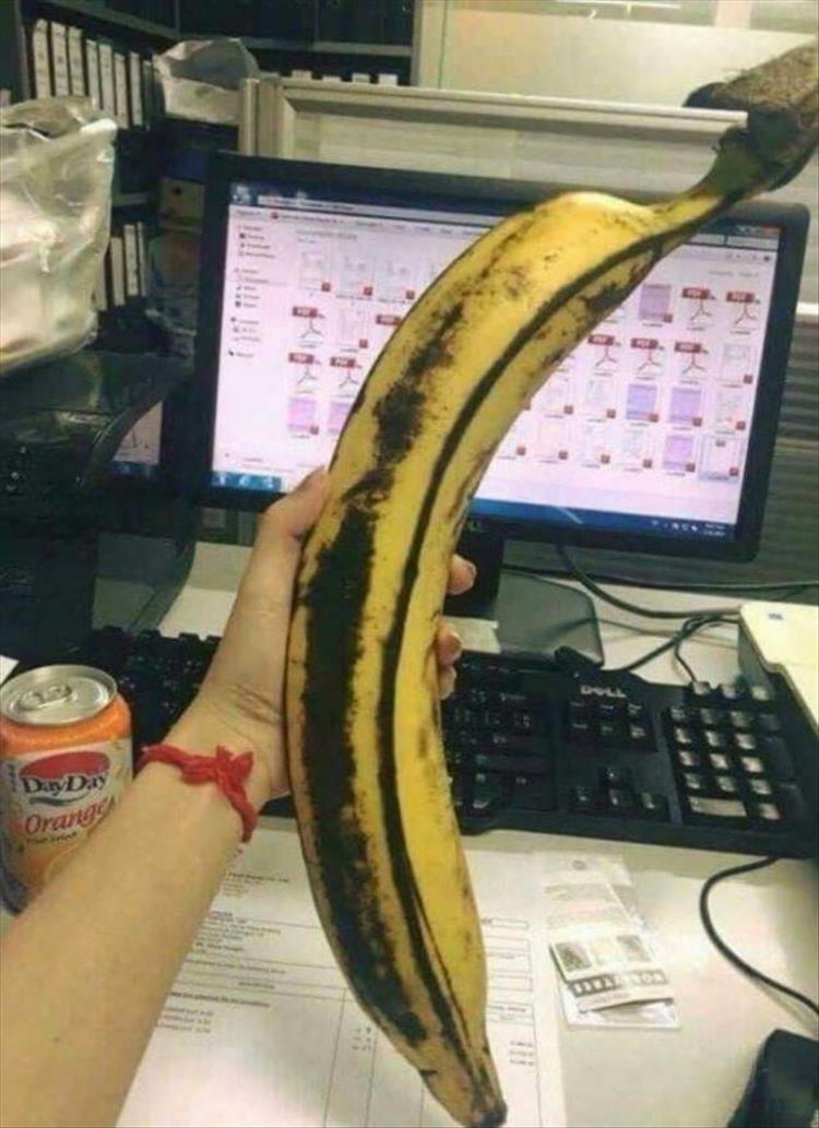 1522881563075.png