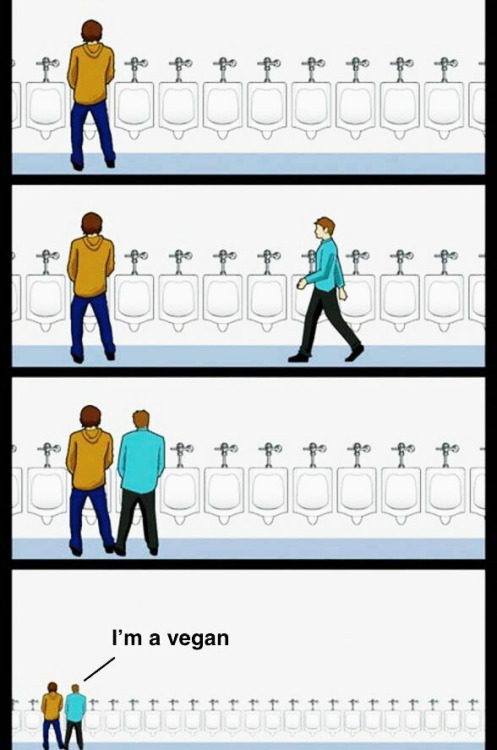1523965377626.png
