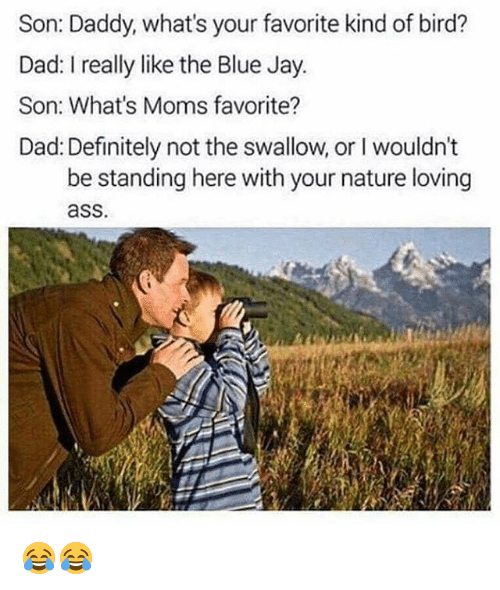 1524202115022.png