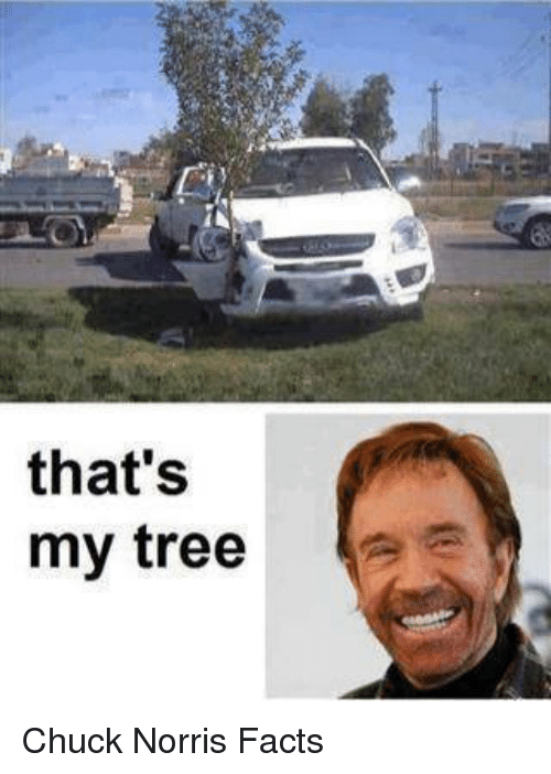 1528479406241.png