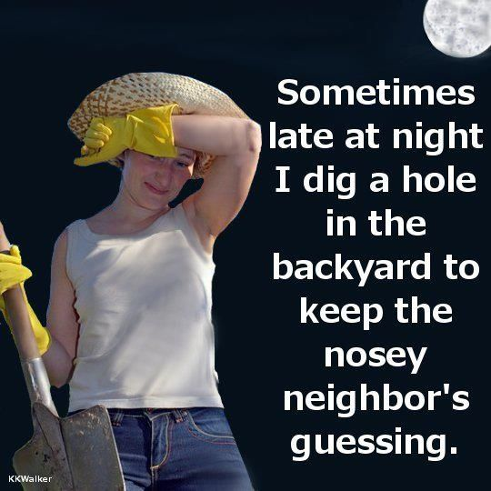 1529119999375.png