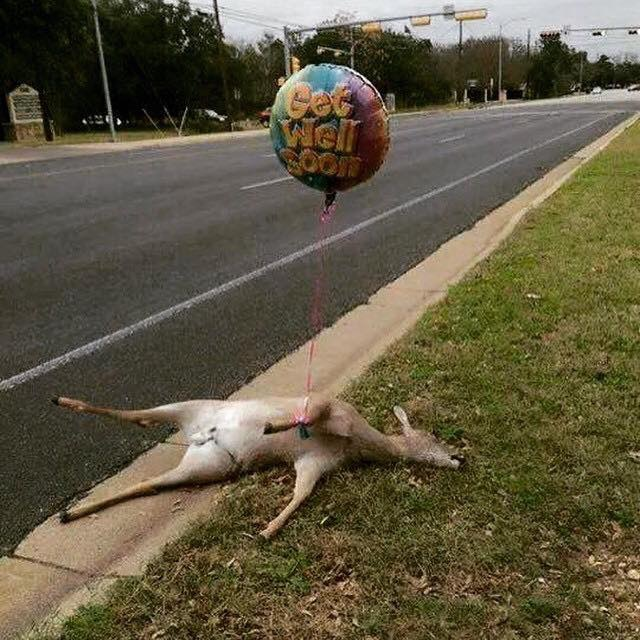 1532310535849.png