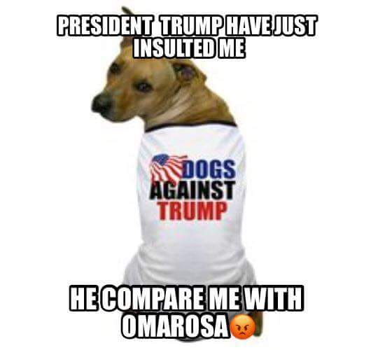 1534456506962.png