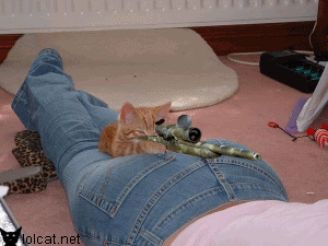 1536440685929.gif