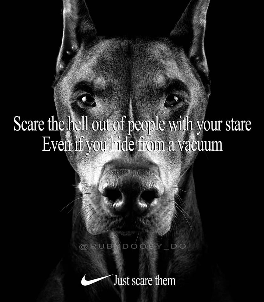1536499182586.png