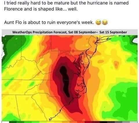 1536877916211.jpeg