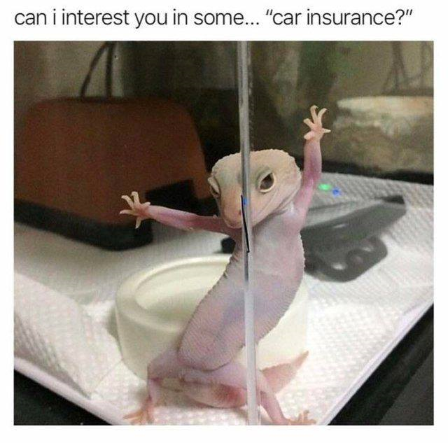 1541441170666.png