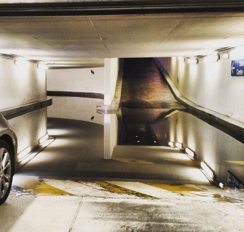 1541562888821.jpeg