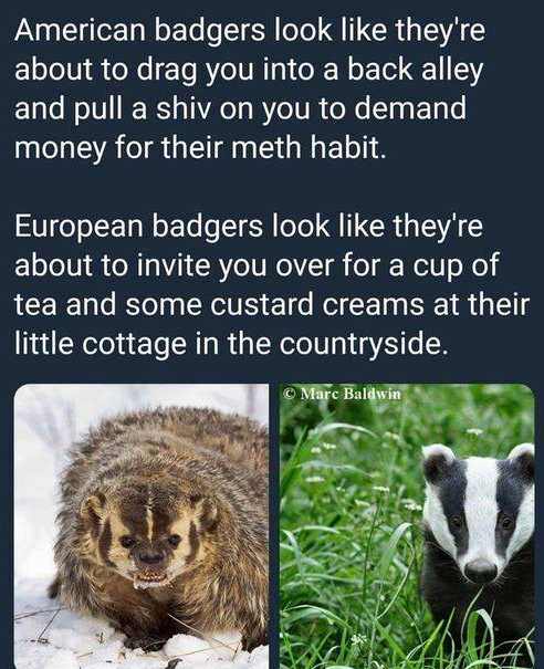 1542036261934.jpeg