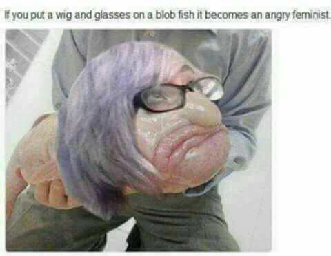 1543362795512.png