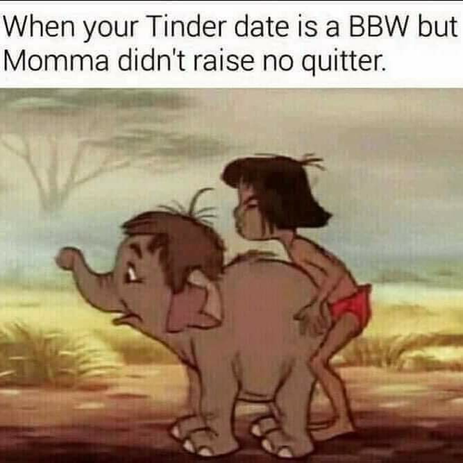 1543463555249.png