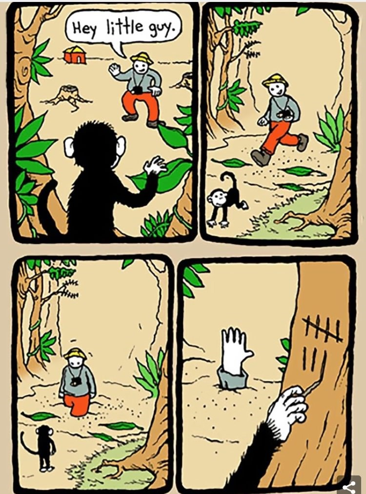 1543776677763.png