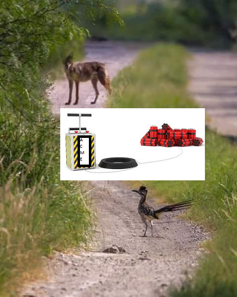 1543977914811.png