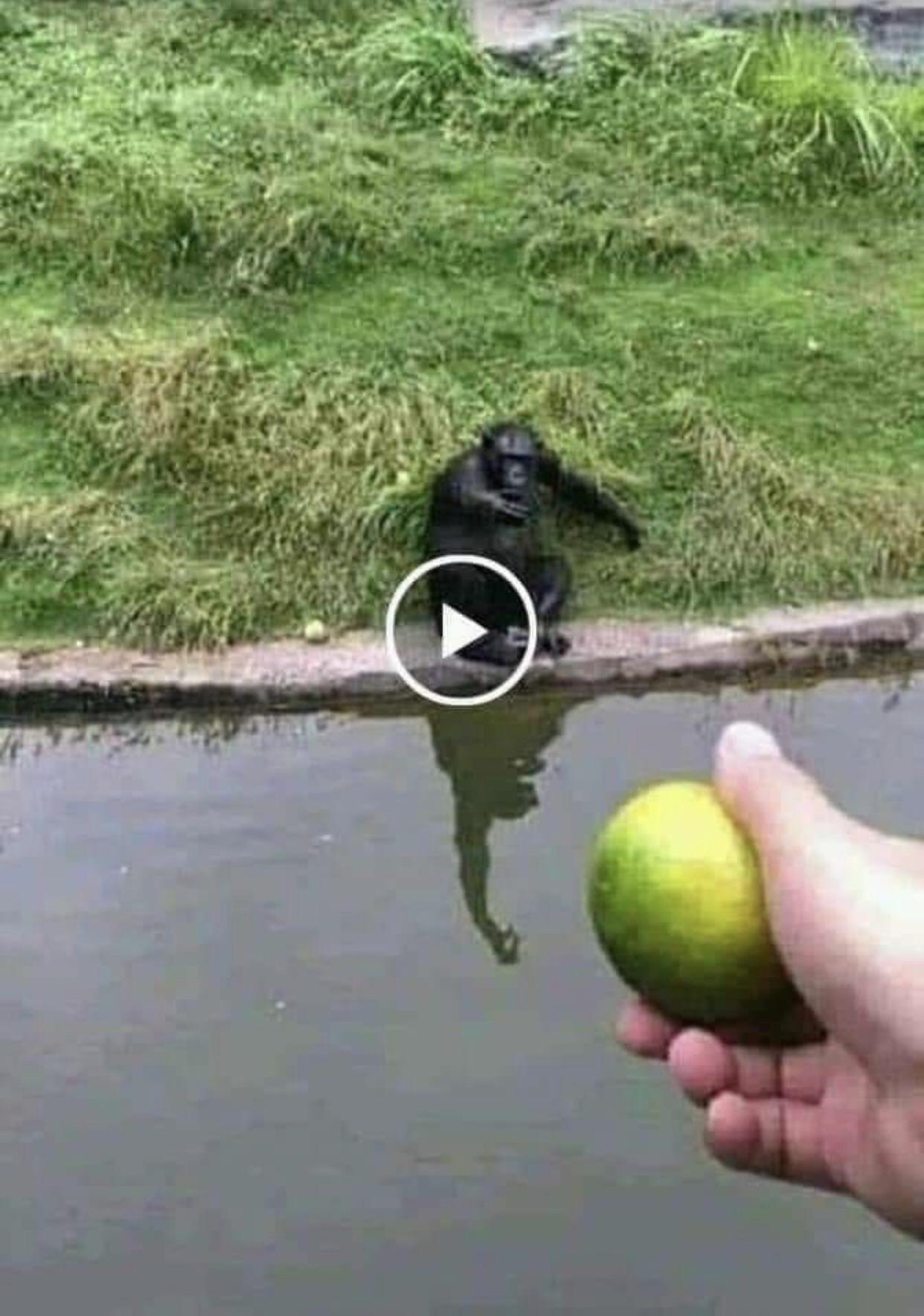 1543979440149.png