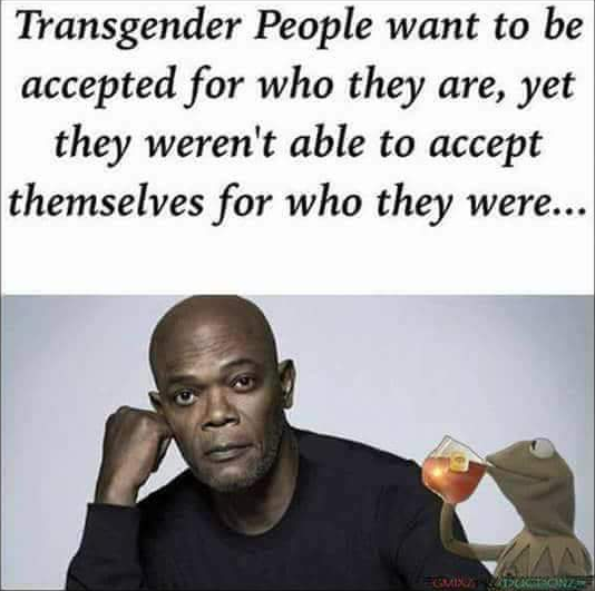 1544074585178.png