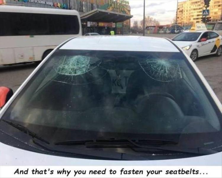 1544115617622.jpeg