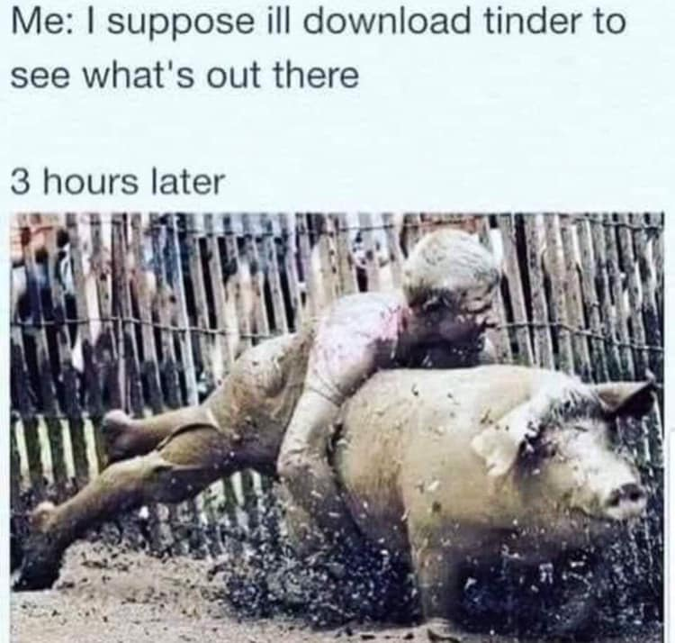 1546207381932.png
