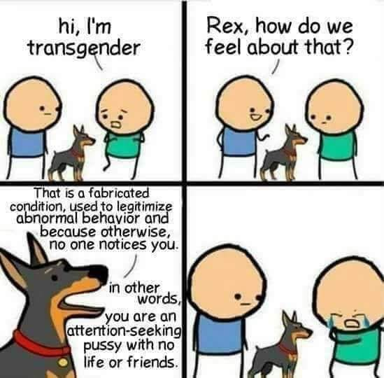1546521463260.png
