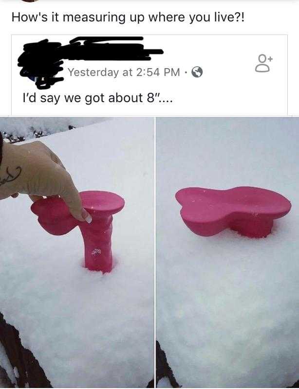 1547574654760.jpeg