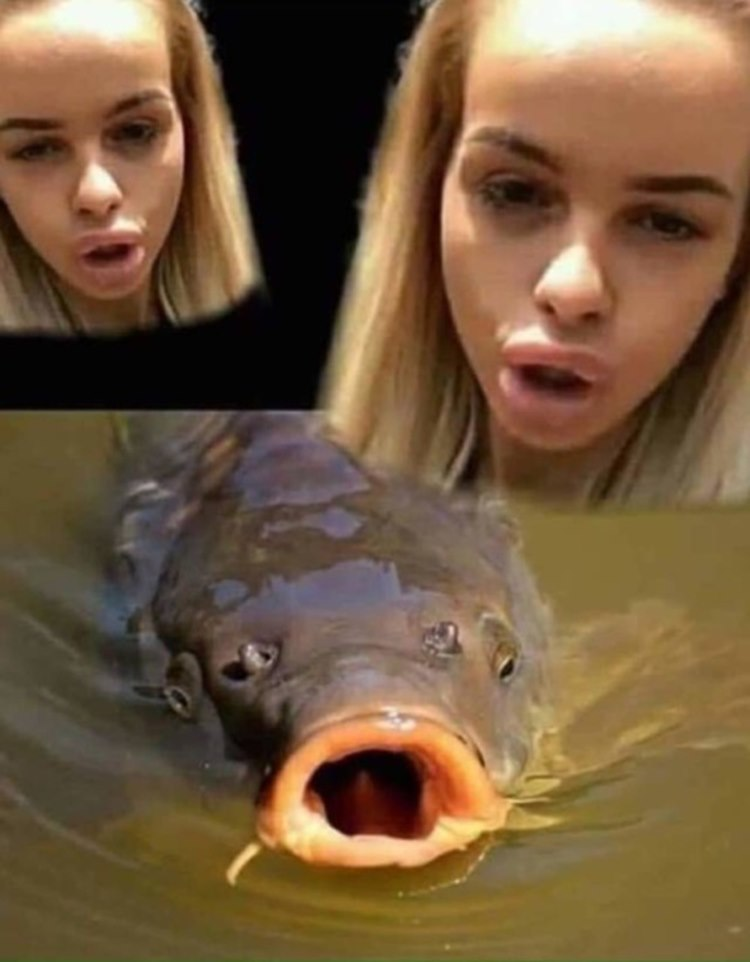 1547854294462.png
