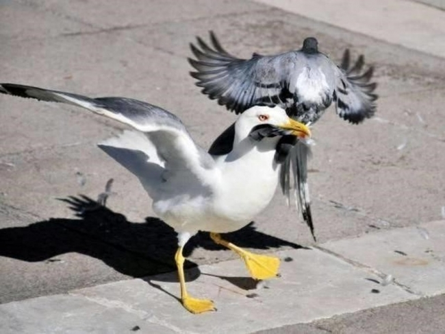 1547861137935.png