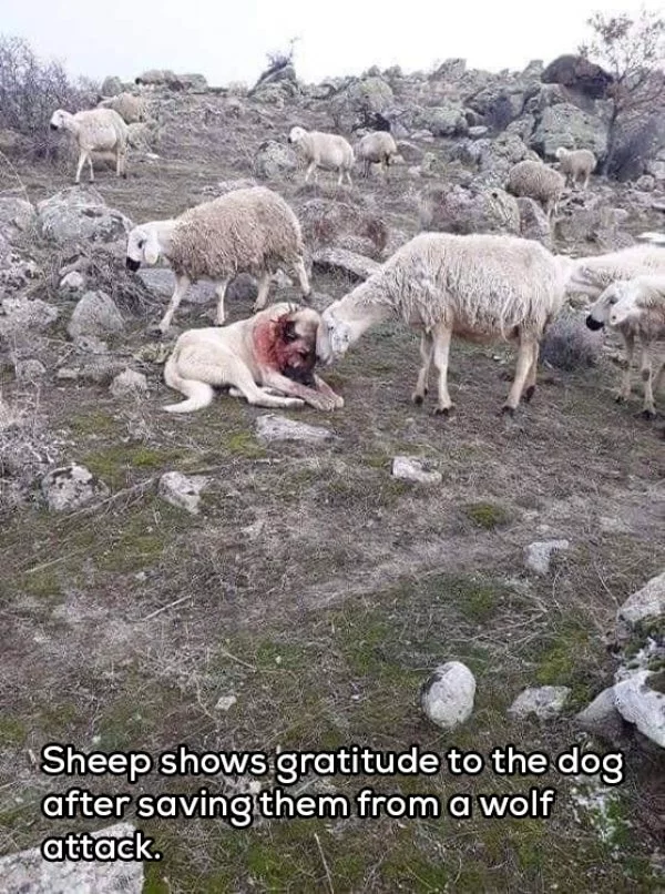 1548245668969.png