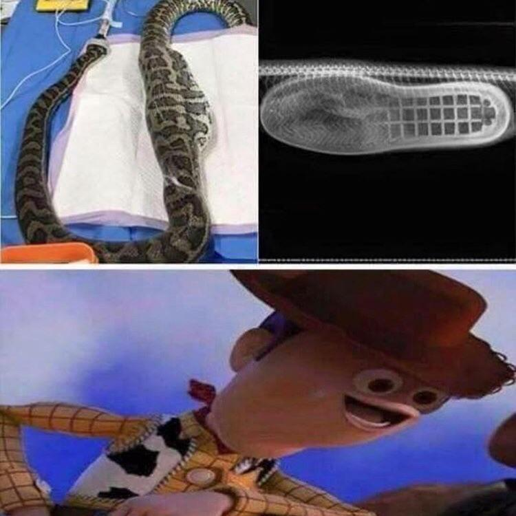 1548261041478.png
