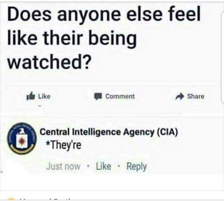 1548267702241.png