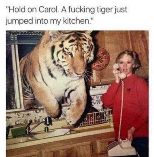 1548534805249.jpeg