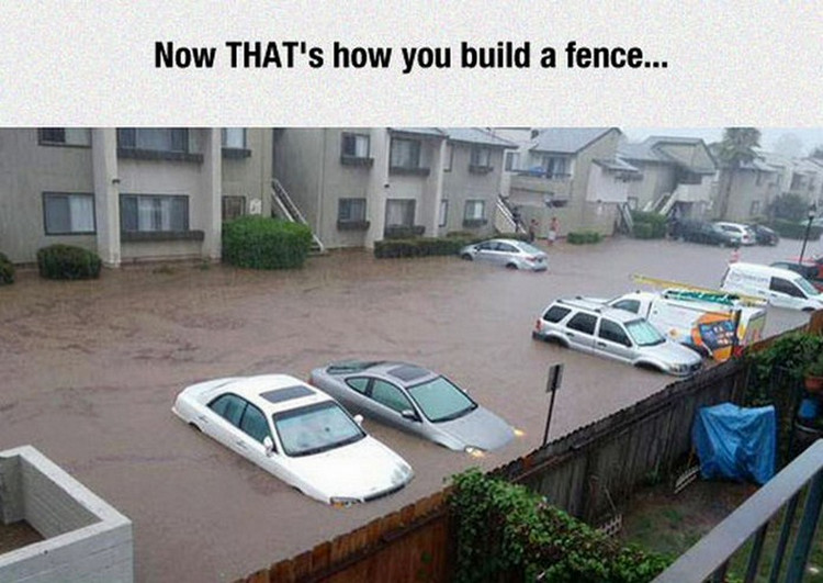 1548632767905.png