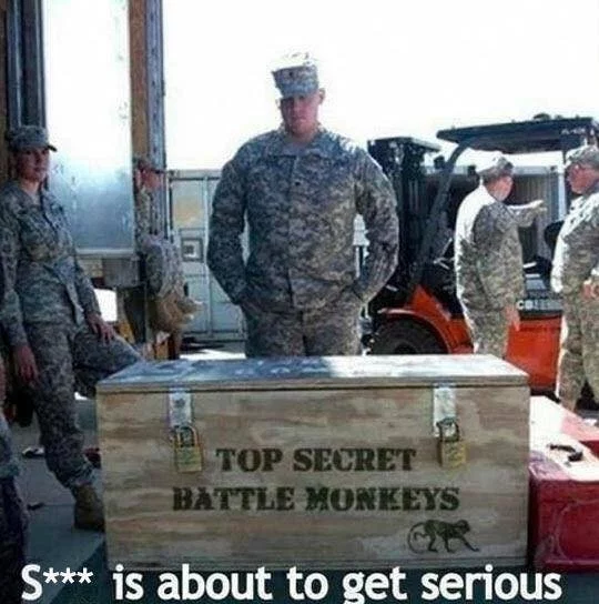 1548926457460.png