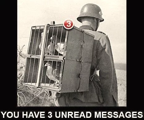 1548926895111.png