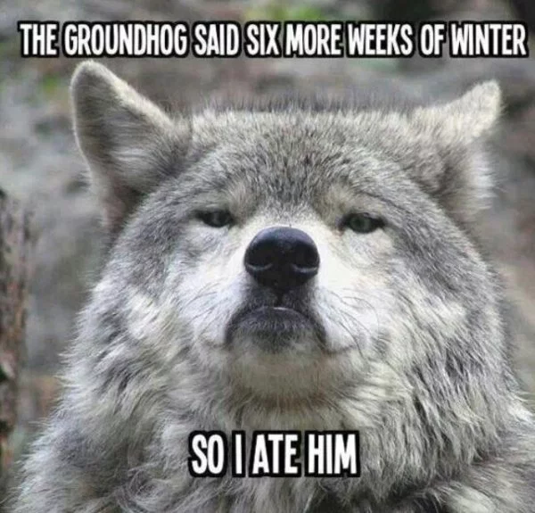 1549168113797.png